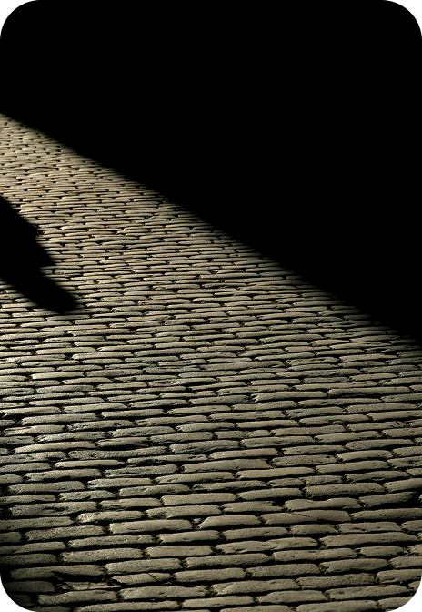 SaaS brand design pack showcasing quality design work